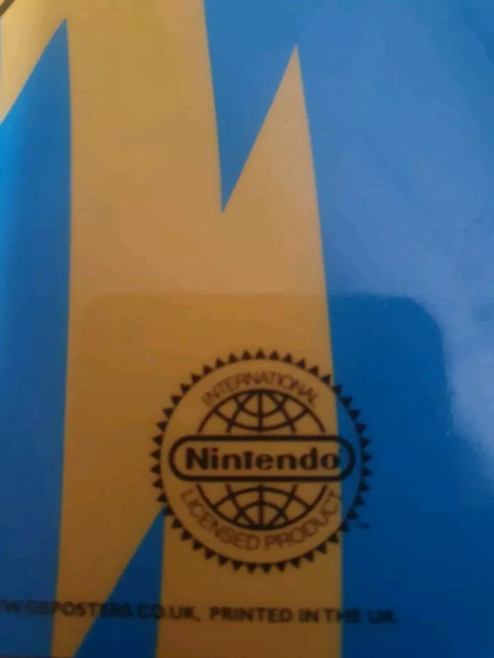 Pokémon Pikachu Poster - Limitiert - Jahr 1999 - Ravify - Dein Shop für Retro- und Vintageartikel