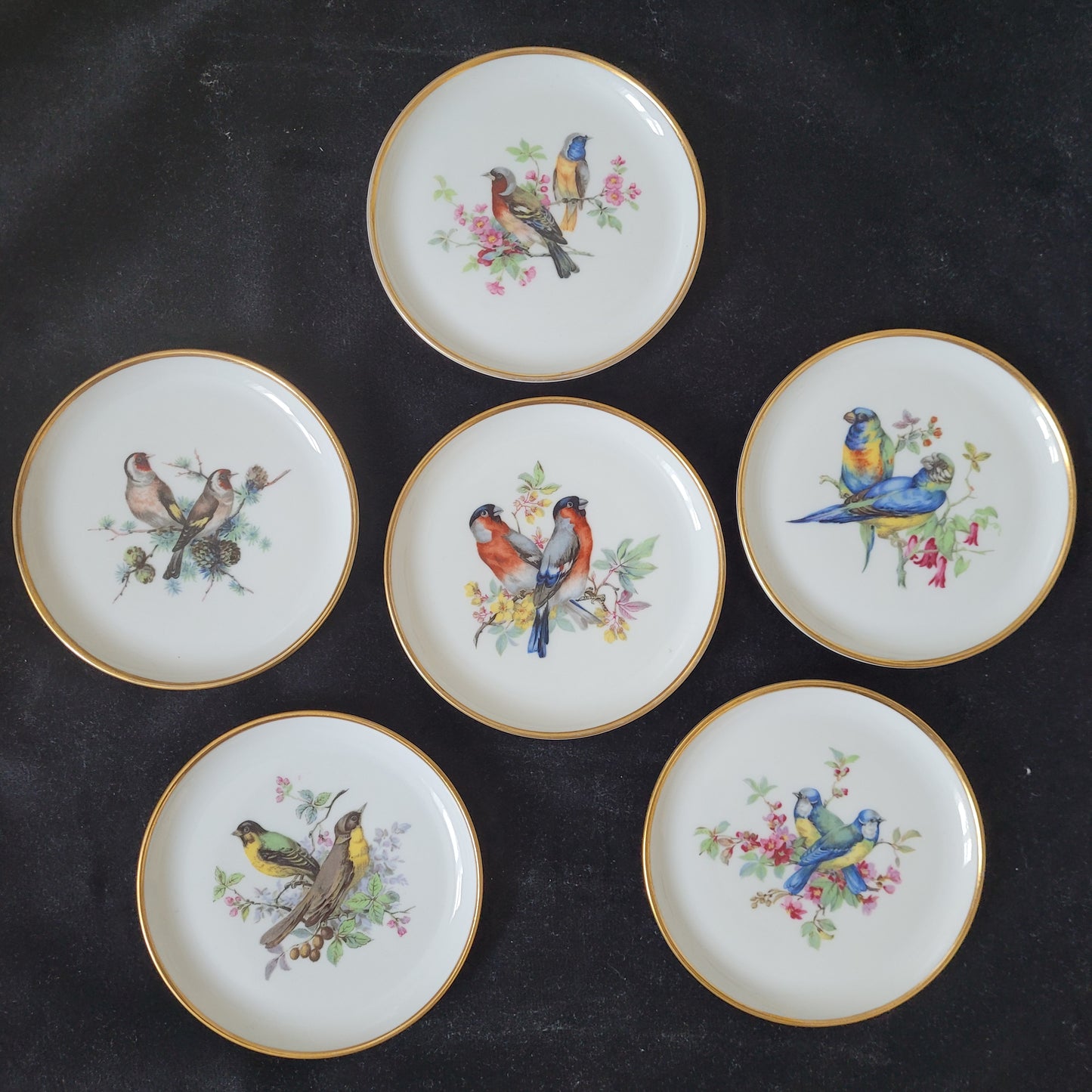 Das 6-teilige Porzellan Schalen / Teller - Manufaktur Kaiser - Vögel Set ist auf einem dunklen Hintergrund elegant arrangiert. Die feinen, handbemalten Vogelmotive auf dem hochwertigen Porzellan unterstreichen den Vintage-Charme. Die Schalen / Teller haben einen Durchmesser von ca. 10 cm und strahlen zeitlose Eleganz aus – ein wunderschönes Sammlerstück für Liebhaber antiker Porzellankunst.